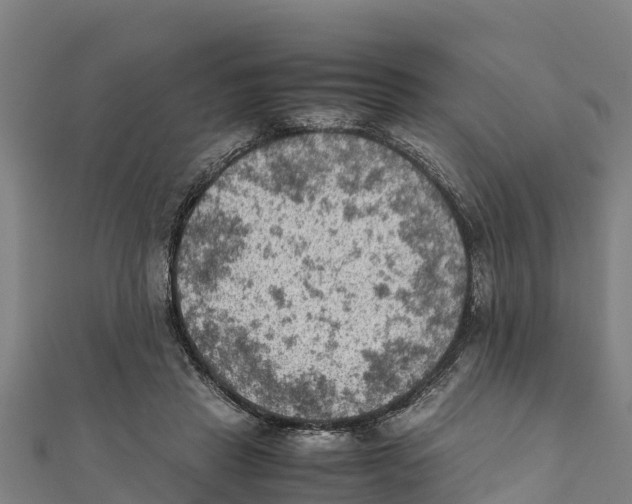 X0000111600453200908131407
