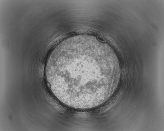X0000111600454200908131407