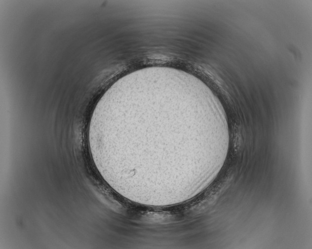 X0000111600455200908131407