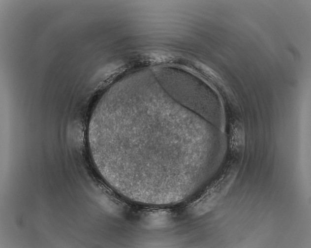 X0000111600456200908131407