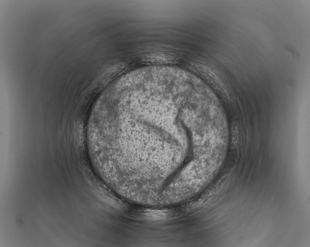 X0000111600457200908131407