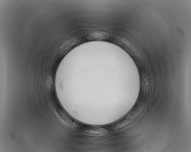 X0000111600459200908131407