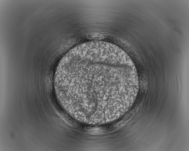 X0000111600460200908131407