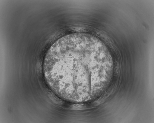 X0000111600461200908131407
