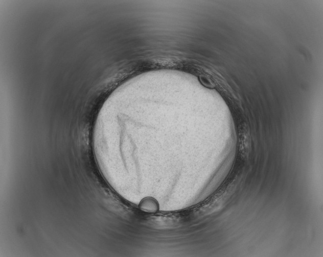 X0000111600466200908131407