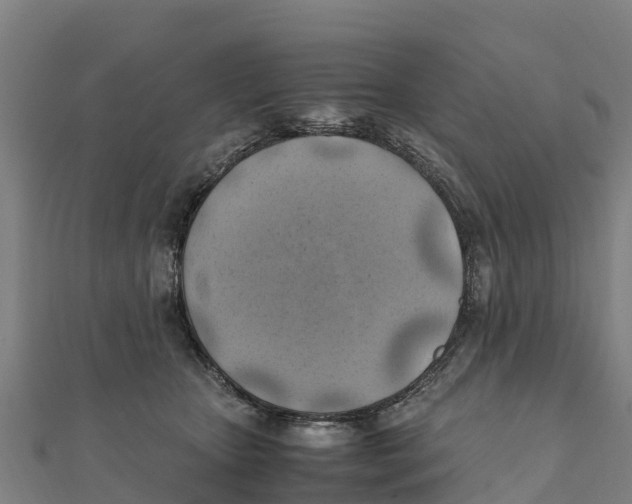 X0000111600467200908131407