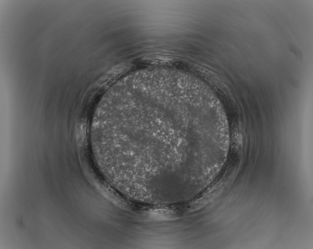 X0000111600468200908131407