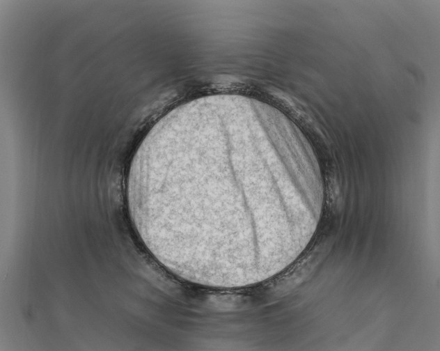 X0000111600470200908131407