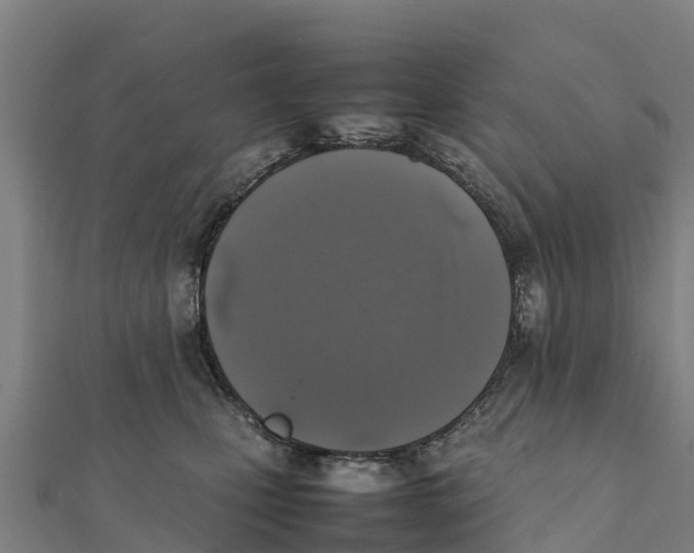 X0000111600471200908131407