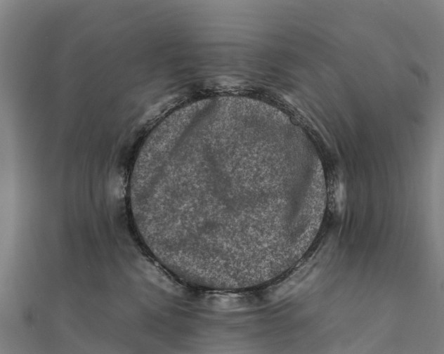 X0000111600472200908131407