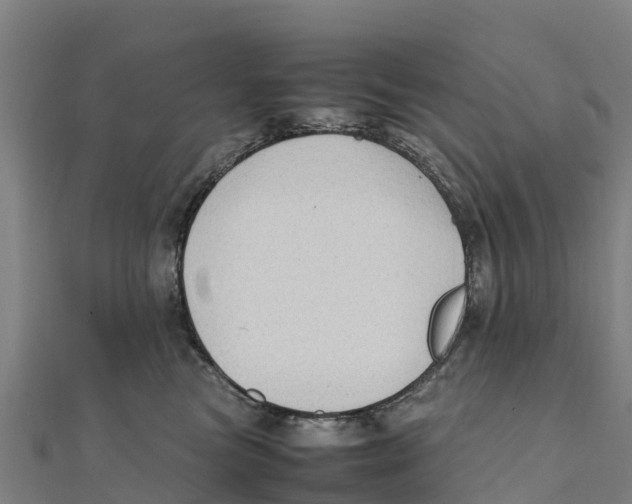 X0000111600473200908131407