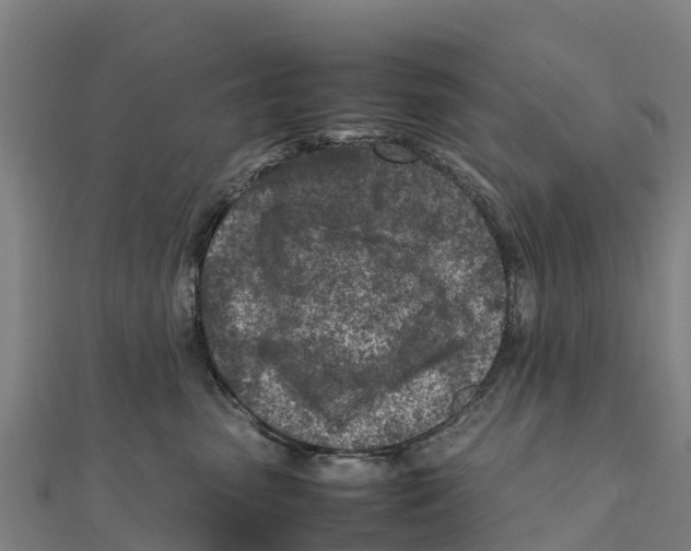 X0000111600475200908131407