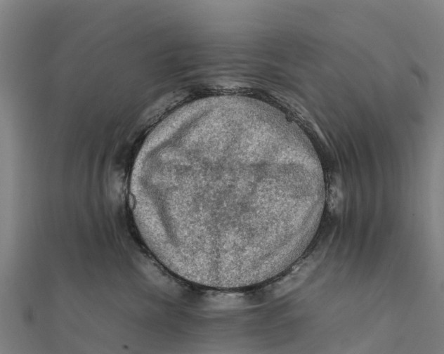 X0000111600476200908131407