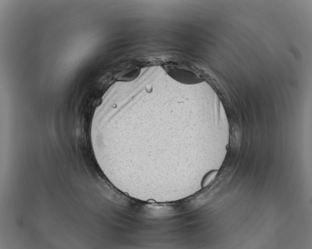 X0000111600477200908131407