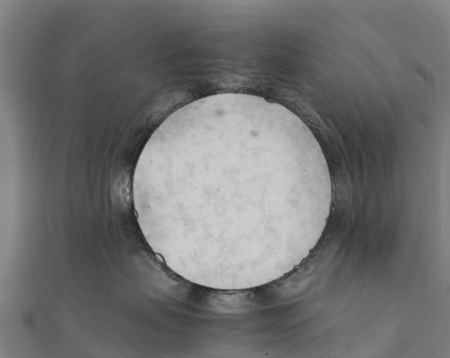 X0000111600479200908131407