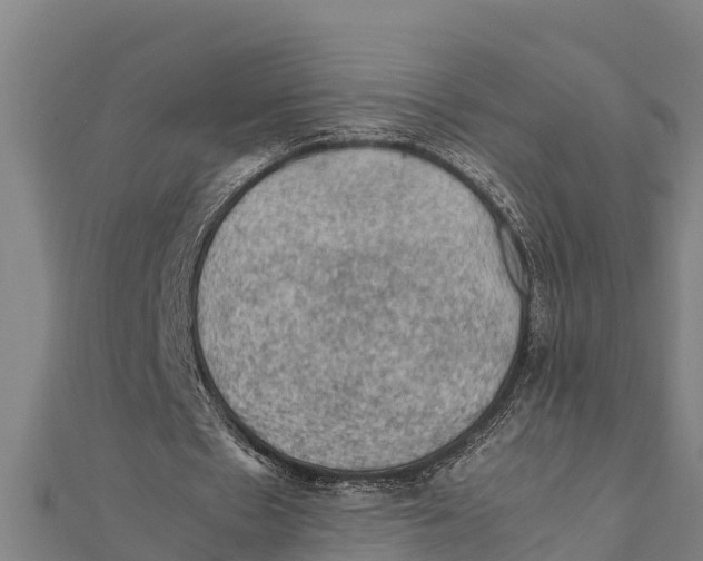 X0000111600481200908131406