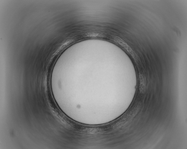 X0000111600482200908131406
