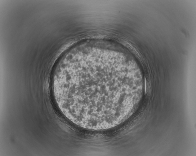 X0000111600483200908131406