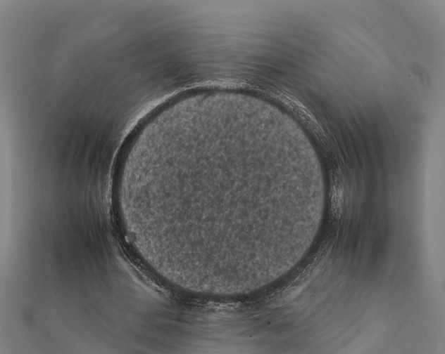 X0000111600484200908131406