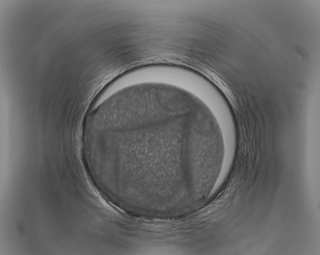 X0000111600485200908131406