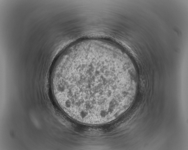 X0000111600487200908131406