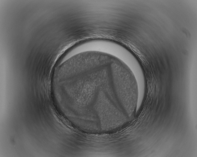 X0000111600488200908131406