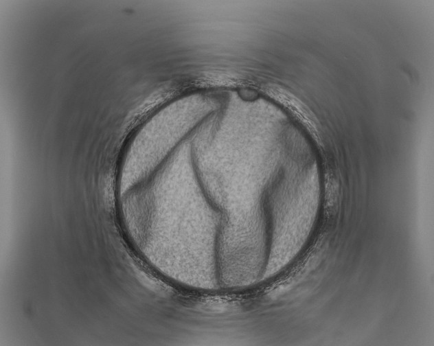 X0000111600489200908131406