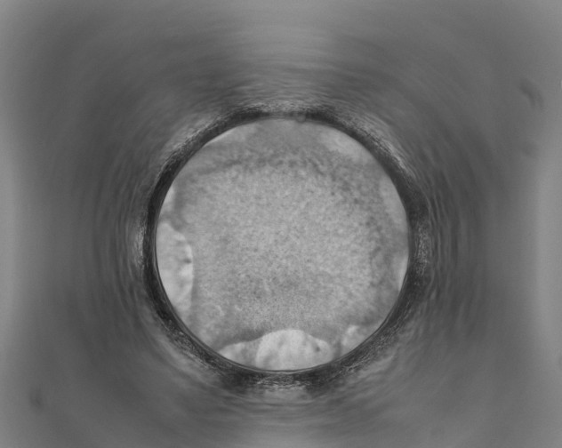 X0000111600491200908131406