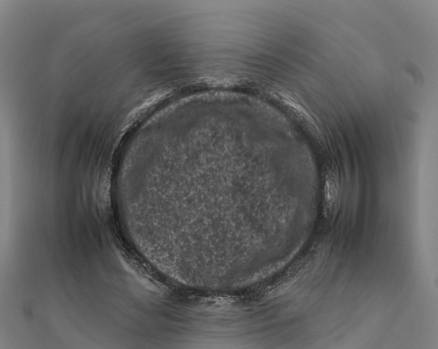 X0000111600492200908131406