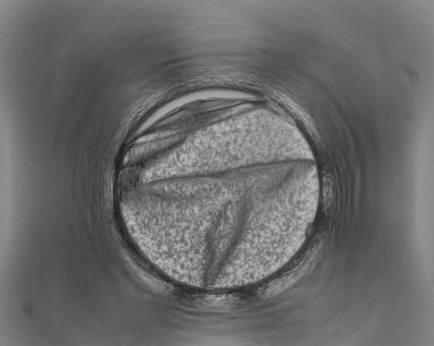 X0000111600493200908131406