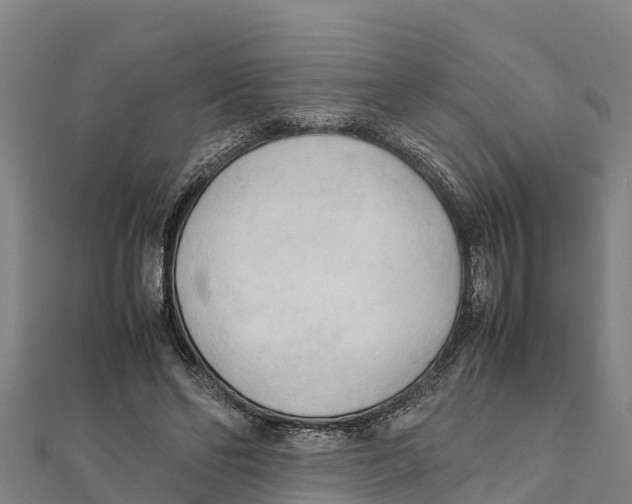 X0000111600494200908131406