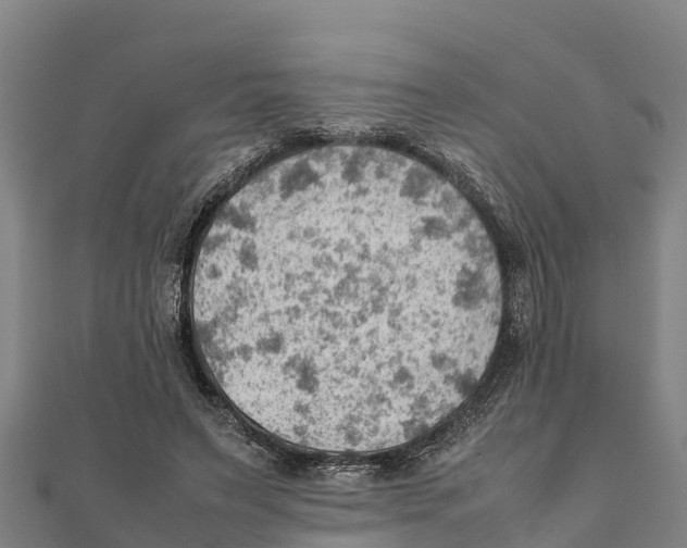 X0000111600495200908131406