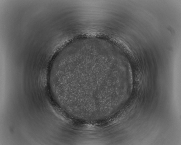 X0000111600496200908131406