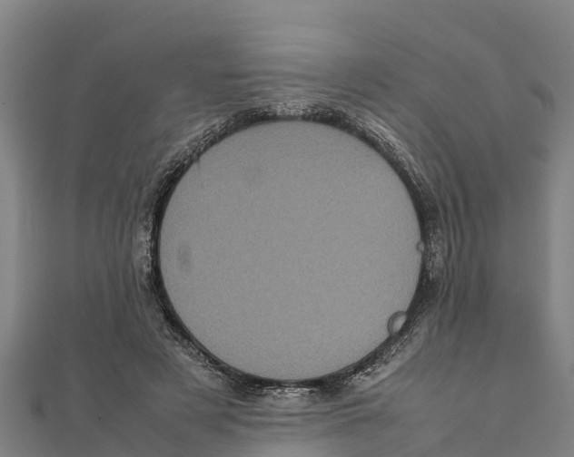 X0000111600497200908131406