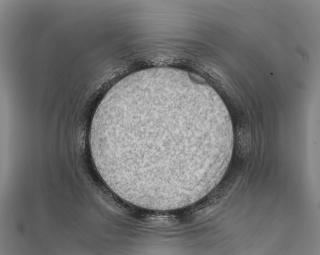 X0000111600499200908131406