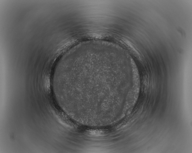 X0000111600500200908131406