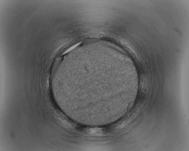 X0000111600501200908131406