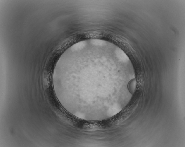 X0000111600503200908131406