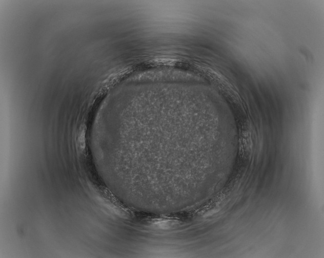 X0000111600504200908131406