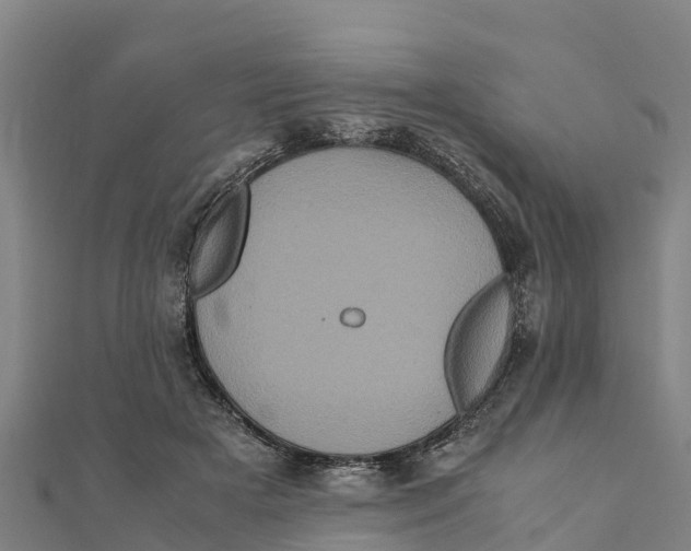 X0000111600505200908131406
