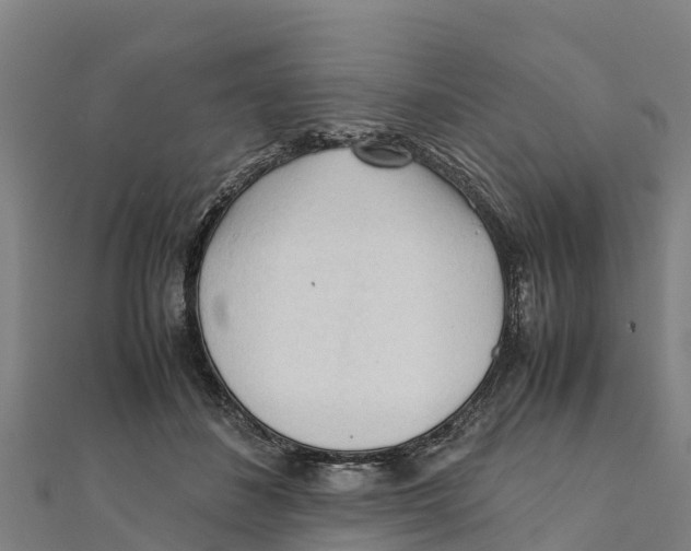 X0000111600508200908131406
