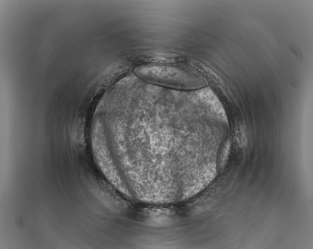 X0000111600512200908131406