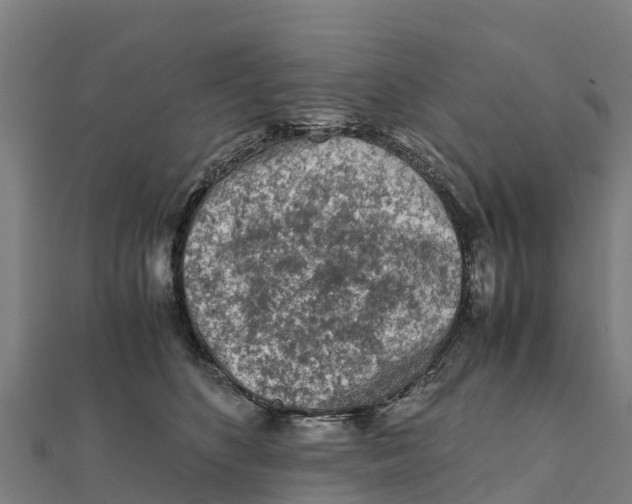 X0000111600516200908131406