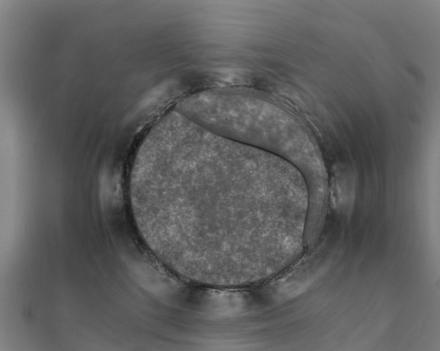 X0000111600520200908131406