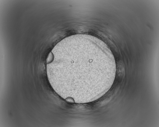 X0000111600523200908131406