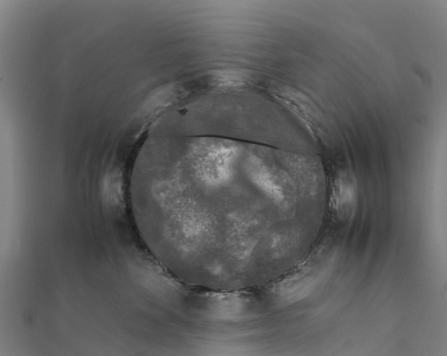 X0000111600524200908131406
