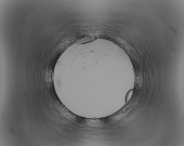 X0000111600525200908131406