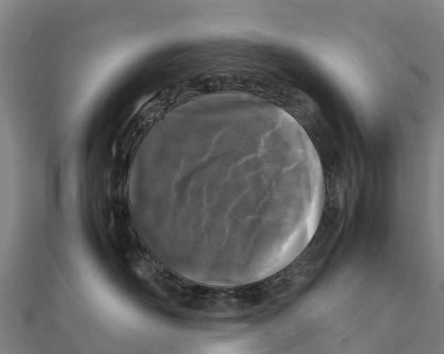 X0000111600526200908131406
