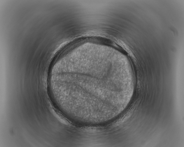 X0000111600530200908131405