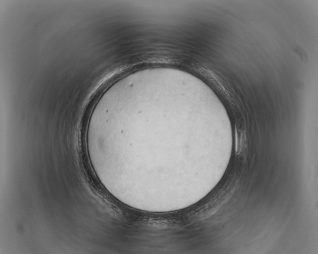 X0000111600531200908131405